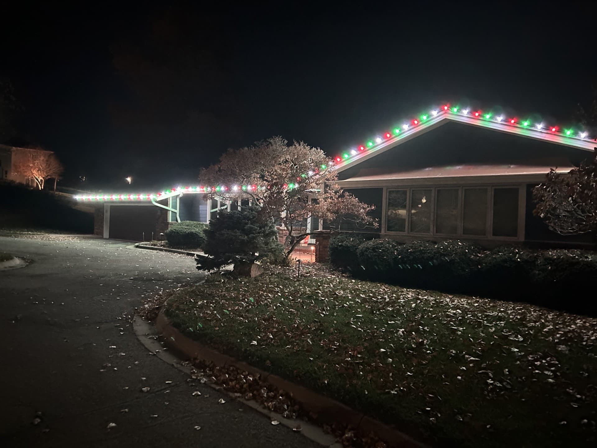 Christmas Display