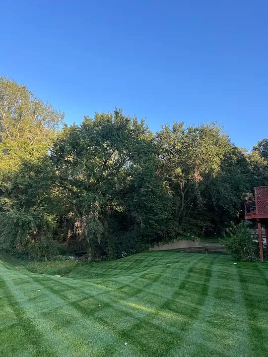 Mowing Stripes